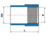 Imagem de LUVA L/R CPVC SCH80   1" FEMEA NPT ENCAIXE SOLDAVEL