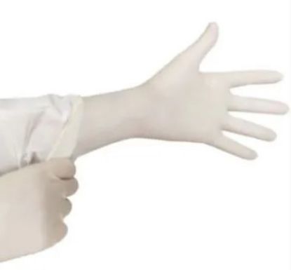 Imagem de LUVA DE LATEX DESCARTAVEL TAM 8 CIRURGICA C/ TALCO